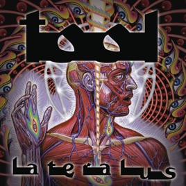 Lateralus by Tool poster